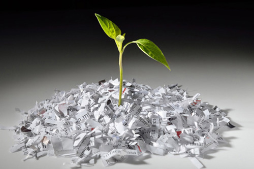 Responsible consumption and production